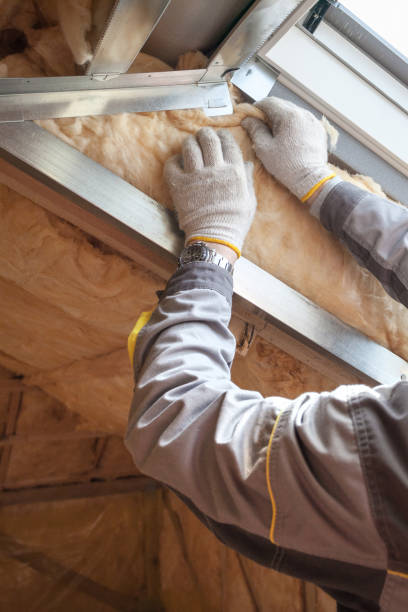 Best Insulation Maintenance and Repair in El Dorado Springs, MO