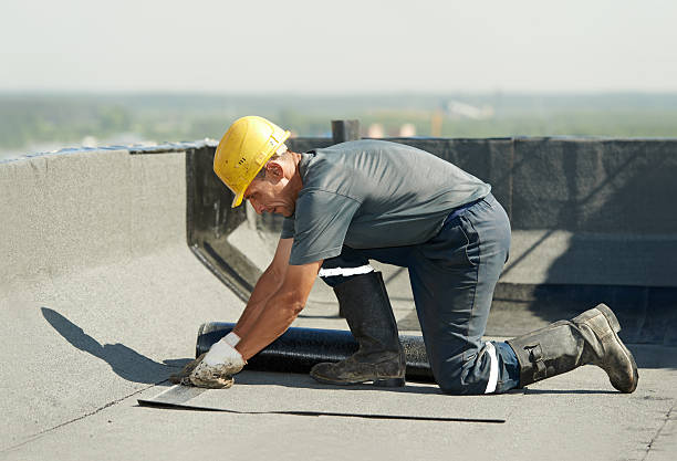 Best Eco-Friendly Insulation in El Dorado Springs, MO